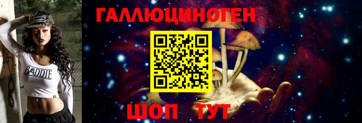 Галлюциногенные грибы Psilocybine cubensis Старая Купавна
